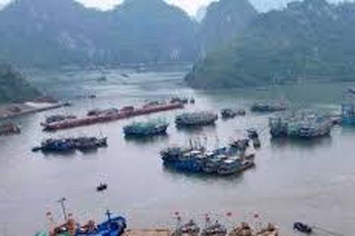 Phó Giám đốc công ty xây dựng cưỡng đoạt tài sản