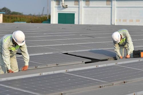 Việc làm xanh và vai trò trụ cột cho tăng trưởng