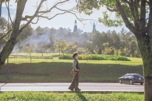 Trông như Ghibli nhưng là Đà Lạt