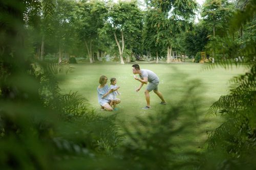 Những khoảng xanh chữa lành trong 'thời đại kiệt sức'