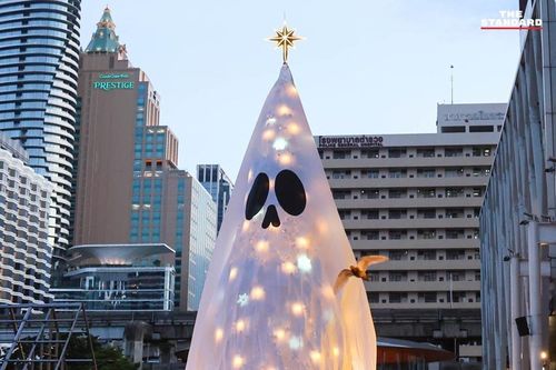 Cây thông 'ma ám' ở Thái Lan