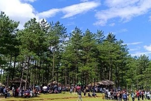 Thông Lâm bản Chít- điểm du lịch sinh thái hấp dẫn giữa núi rừng Tây Bắc