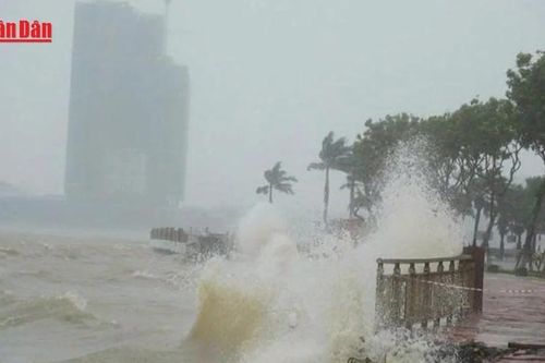 Đà Nẵng lập 3 sở chỉ huy tiền phương, chủ động ứng phó bão số 12