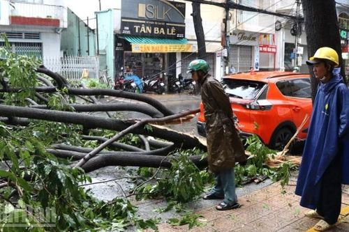 Đồng Nai cảnh báo lũ quét, sạt lở đất