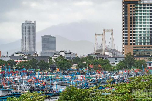Đà Nẵng: Những khoảnh khắc bình yên trước giờ ứng phó với mưa lớn sau bão số 12