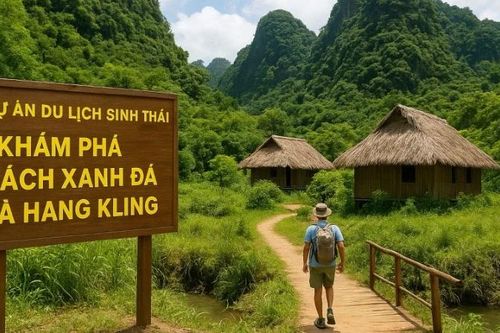 Lần đầu tiên, du khách được tham quan quần thể Bách xanh đá hàng trăm năm tuổi ở Phong Nha-Kẻ Bàng