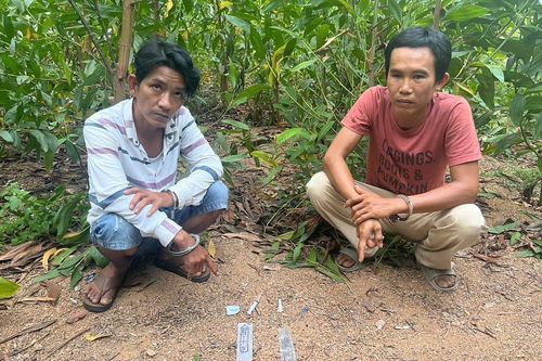 Bắt 'ma' trong rẫy keo