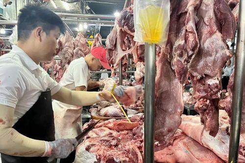 Từ tháng 12, thí điểm Sàn giao dịch thịt heo: Hiện đại chuỗi cung ứng, minh bạch giá cả