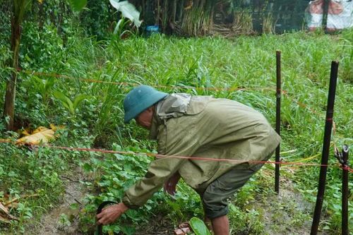 Quảng Trị: Xuất hiện hố sụt lún sâu 3m trong vườn nhà dân