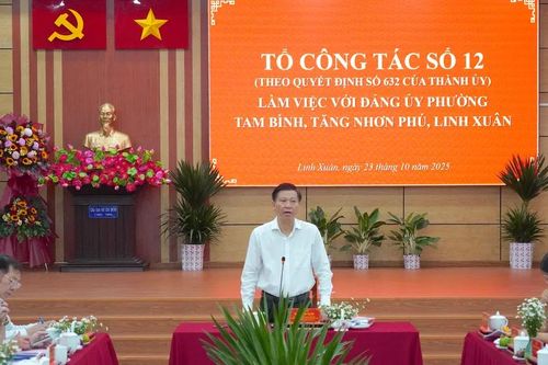 Dự kiến các phương án điều phối nhân sự cấp xã tại TPHCM