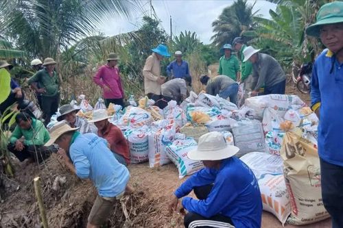 Vùng Đồng Tháp Mười đạt đỉnh lũ, cuộc sống người dân bị xáo trộn