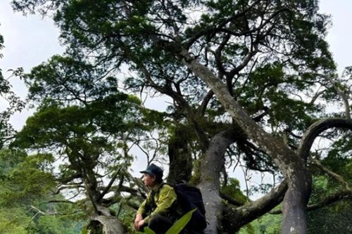 Quảng Trị xây dựng tour du lịch khám phá bách xanh đá Phong Nha - Kẻ Bàng