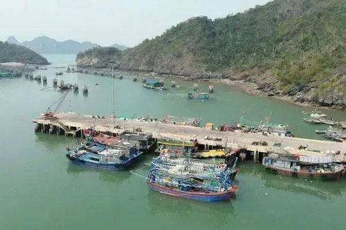 Hải Phòng: Khởi tố phó giám đốc doanh nghiệp cưỡng đoạt tài sản của đối tác
