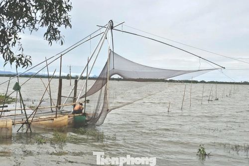 Cận cảnh nghề cất vó đặc trưng mùa nước nổi thượng nguồn sông Cửu Long