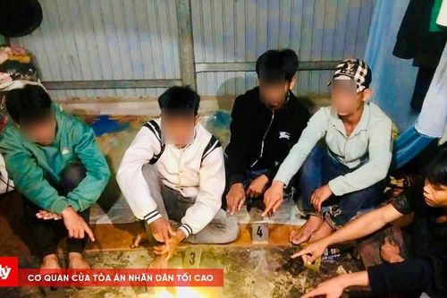 Đồng Nai quyết liệt rà soát, triệt xóa tội phạm và tệ nạn ma túy