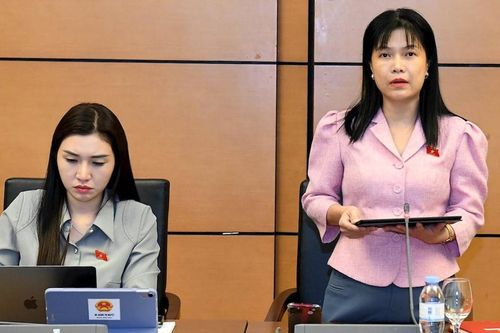 Đại biểu đề nghị bỏ đề xuất 'phải qua lớp bồi dưỡng' khi cấp thẻ nhà báo lần đầu