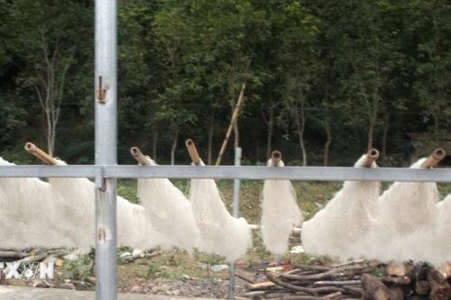 Chuyện giảm nghèo từ đặc sản miến Bản Xèo ở tỉnh Lào Cai