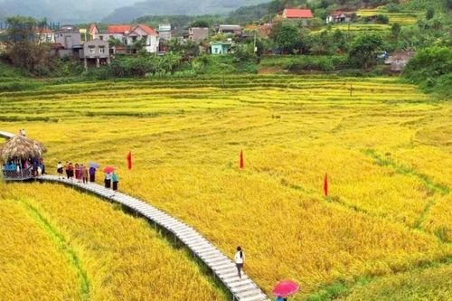 Quảng Ninh: Quảng bá bản sắc văn hóa của đồng bào vùng cao