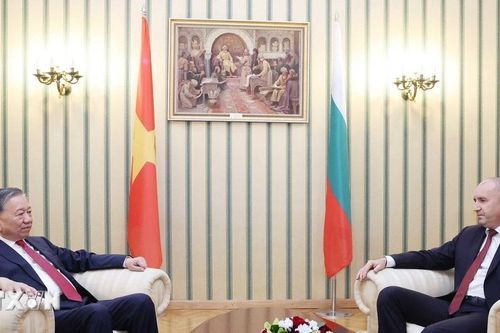 Tổng Bí thư Tô Lâm và Tổng thống Cộng hòa Bulgaria Rumen Radev hội đàm