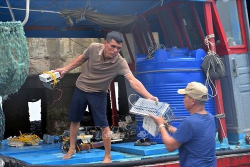 Khởi tố vụ án 13 tàu cá tháo thiết bị giám sát hành trình để khai thác trái phép