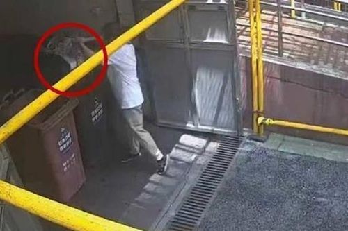 Dọn nhà giúp mẹ, cô gái vứt hộp vàng trị giá 1,8 tỷ đồng vào thùng rác