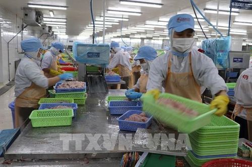 Thành phố Hồ Chí Minh dự báo thị trường lao động cuối năm tăng 10 - 15%