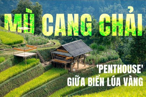 Khám phá 'penthouse' giữa biển lúa vàng ở Mù Cang Chải