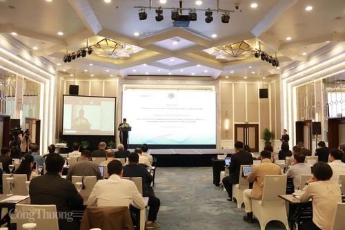 Hội thảo 'Chính sách ưu tiên phát triển hạ tầng năng lượng bền vững'