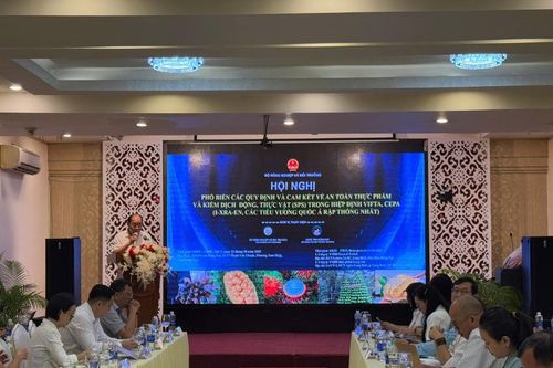 Khai thác thị trường Halal: Cơ hội vàng cho xuất khẩu nông sản