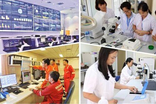 Thực hiện chính sách thu hút chuyên gia gắn bó với ngành Công Thương