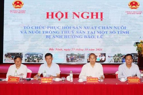 Chung tay hỗ trợ nông dân phục hồi sản xuất chăn nuôi, thủy sản sau bão, lũ