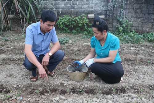 Xử lý chất thải tại nguồn tạo môi trường bền vững