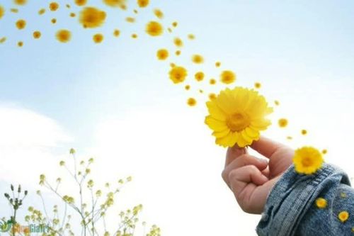 Hạnh phúc từ những điều giản đơn.