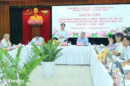 HĐND tỉnh Đồng Nai giám sát đầu tư các dự án giai đoạn 2021-2025