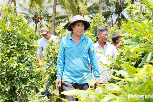 Làm giàu, gắn kết và chia sẻ