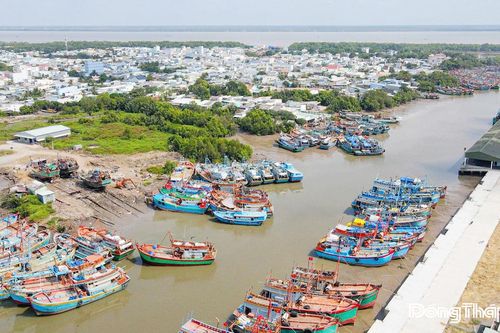 Đồng Tháp quyết tâm cùng cả nước gỡ 'thẻ vàng' IUU