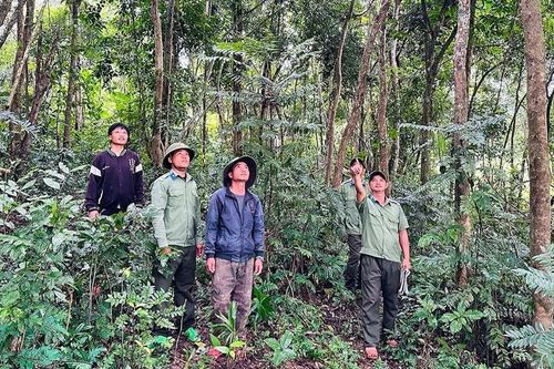Dân làng Canh Tiến kiên trì giữ rừng