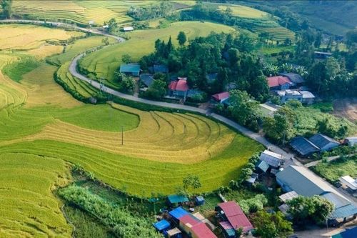 Quyết tâm vượt khó, hướng tới phát triển bền vững