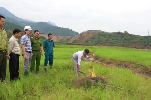 Cần giải pháp hiệu quả hơn để bảo vệ chim di cư