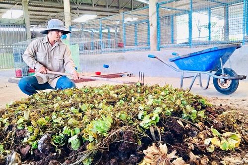 Nông nghiệp sạch từ việc xử lý phế phẩm làm phân bón hữu cơ