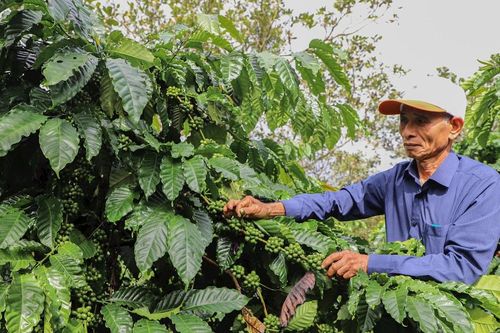 Những 'đầu tàu' ở bon làng Quảng Tín