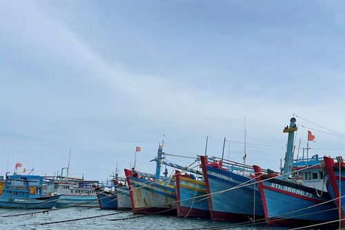 Phú Quý chủ động ứng phó, đảm bảo an toàn trước ảnh hưởng bão số 12