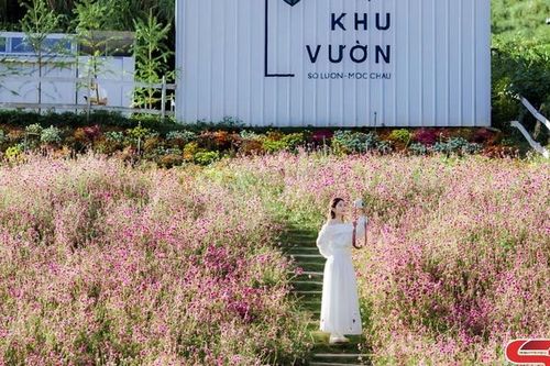 Mùa thu trên cao nguyên Mộc Châu
