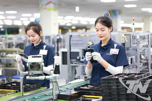 Cầu nối hợp tác kinh tế Việt Nam - Hàn Quốc