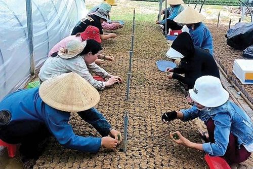 Thúc đẩy phát triển kinh tế xanh