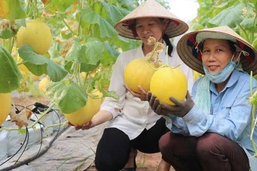 Hà Nội tăng cường kiểm soát chất lượng, minh bạch nguồn gốc nông sản