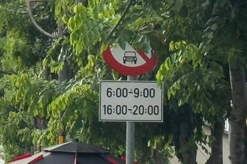 TP.HCM rà soát, khắc phục tình trạng biển báo giao thông bị che khuất