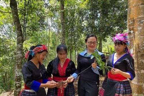 Giảm nghèo bền vững nhờ chuỗi giá trị và sức mạnh HTX