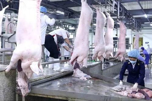 Xử lý dứt điểm cơ sở giết mổ gia súc, gia cầm nhỏ lẻ, tự phát