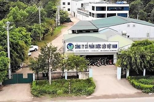 Dược liệu Việt Nam (DVM): Dòng tiền dương 112 tỷ, tỷ lệ thắng thầu 89,8%, cổ phiếu vẫn giao dịch 'dưới mệnh giá'